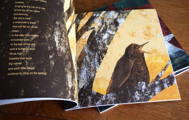 photo of song thrush page