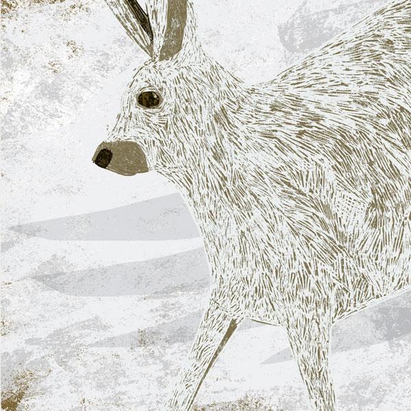 image of mountain hare card