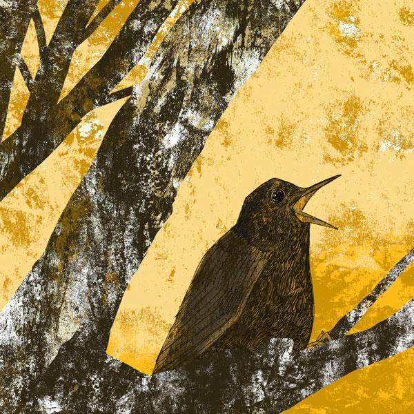image of song thrush card