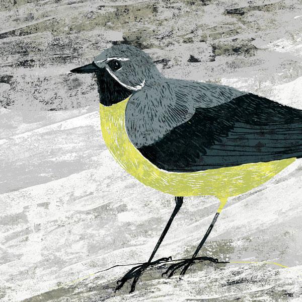 image of wagtail card