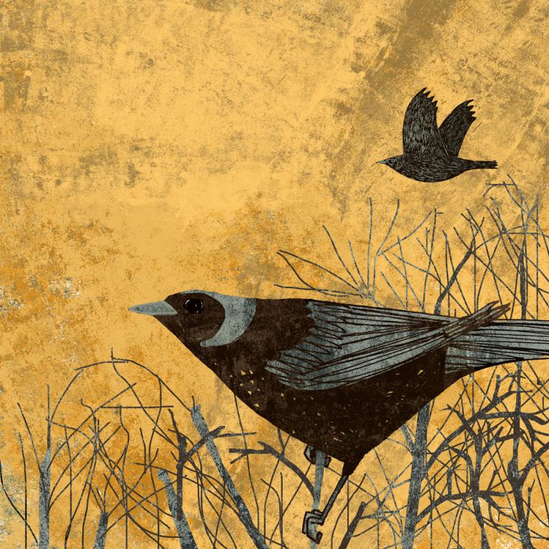 image of fieldfare print