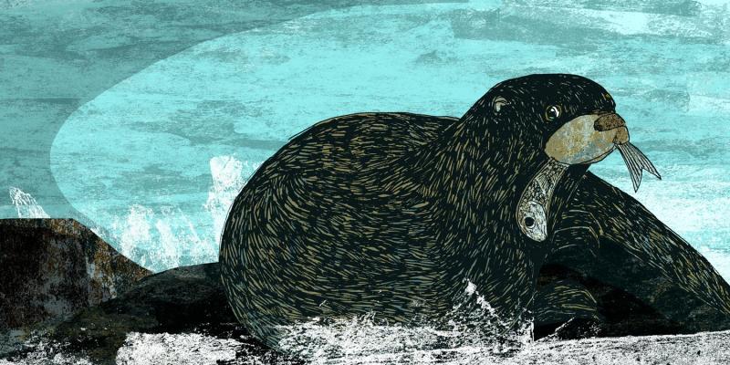 image of orkney otter print