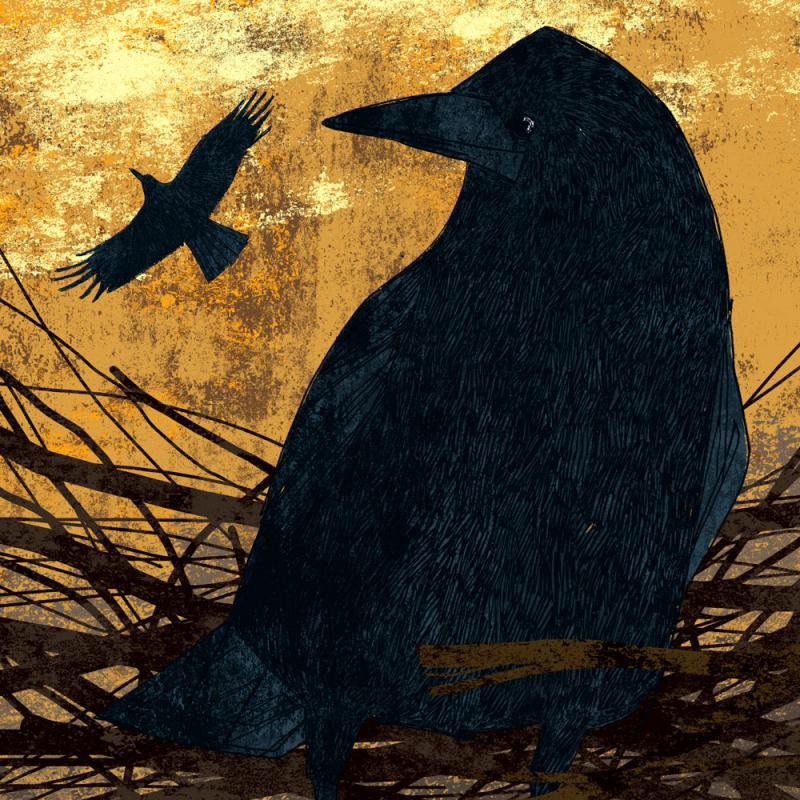 image of rooks print