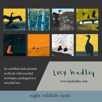 image of wildlife cards box set