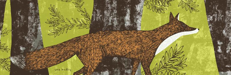woodland fox lampshade 20 cm drum
