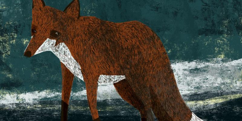 Glasgow Fox by Lucy Hadley