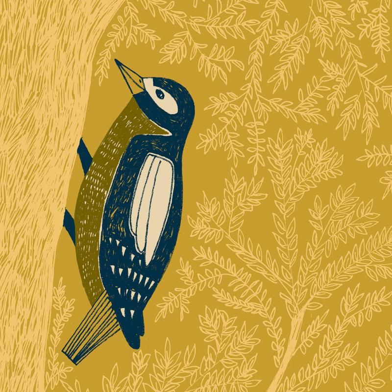 illustration of woodpecker